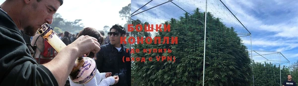 эйфоретик Белоозёрский