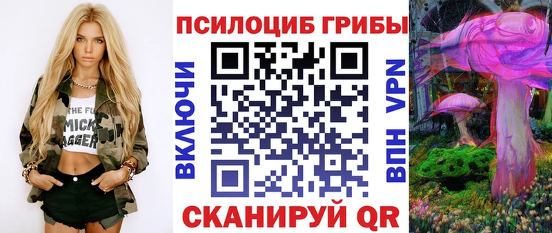 Галлюциногенные грибы Cubensis  Волосово 